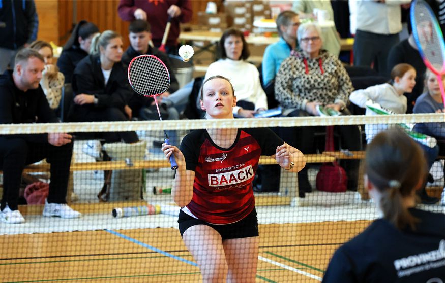 SC Itzehoe, SCI-Badminton